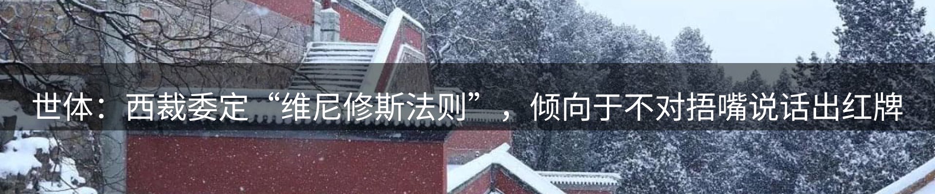 新闻动态
