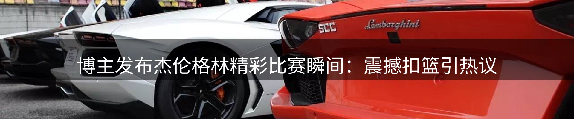 新闻动态