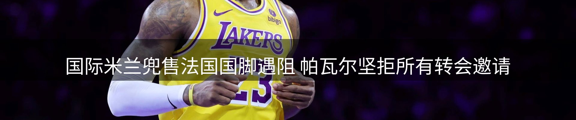 新闻动态