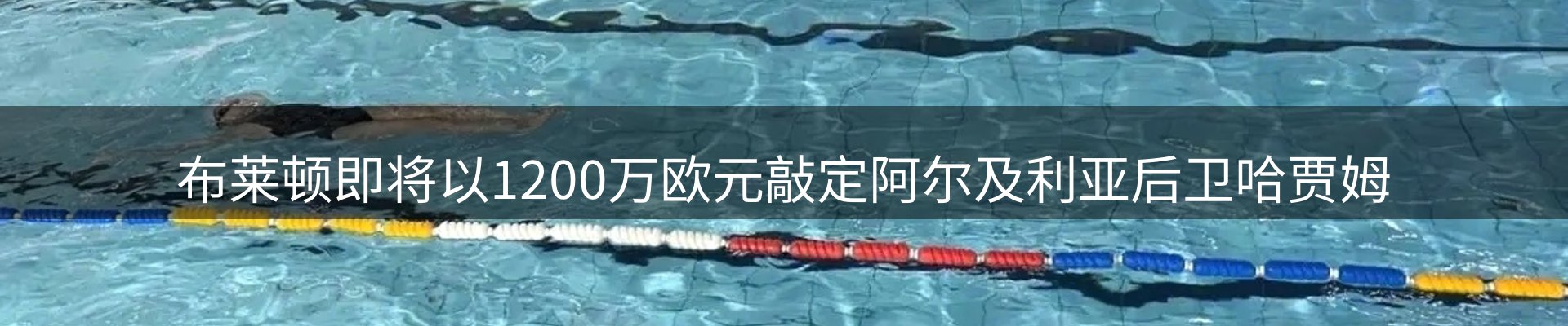新闻动态