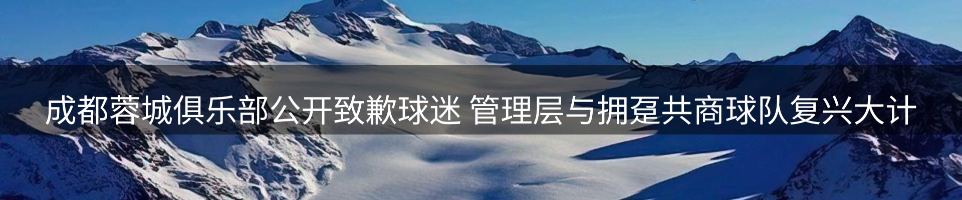 新闻动态