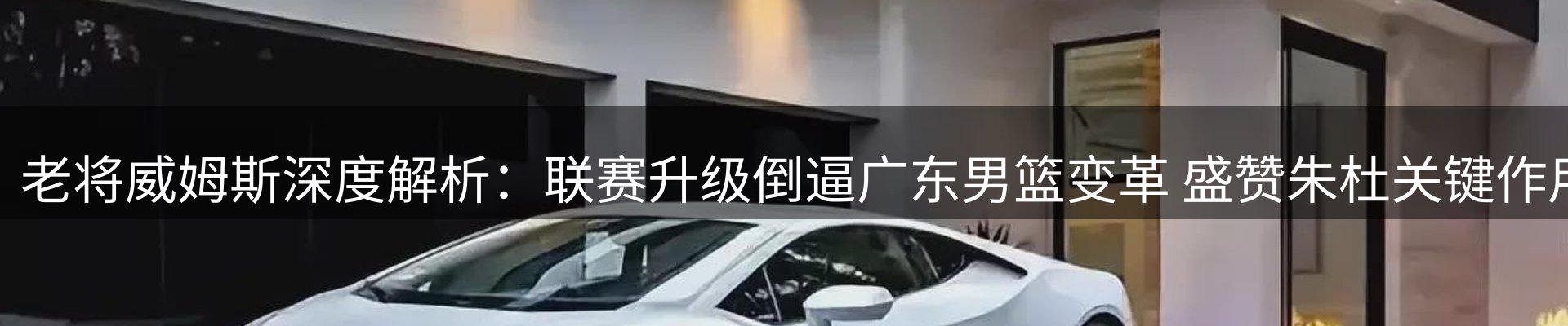 新闻动态