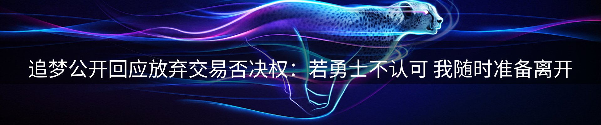 新闻动态