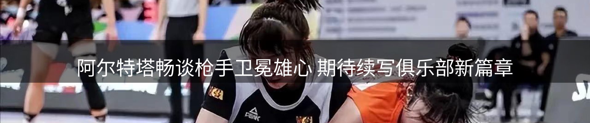 新闻动态